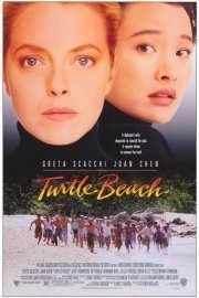 Turtle Beach poster