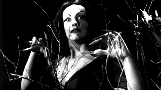 Watch Vampira and Me Online