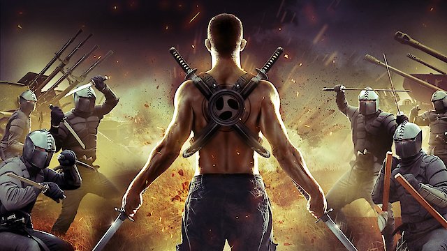 Watch The Ninja Immovable Heart Online