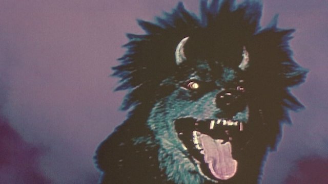 Watch Devil Dog: The Hound of Hell Online