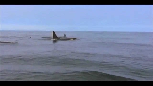 Watch A Fall From Freedom Online