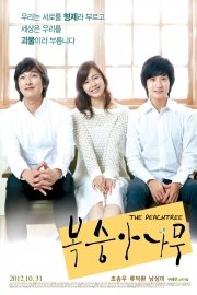 The Peach Tree poster