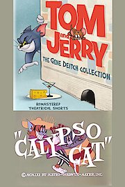 Calypso Cat poster