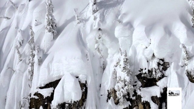 Watch 509 Films Volume 8 Online