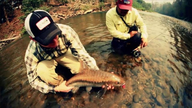 Watch Fly Fishing Film Tour 2013 Online