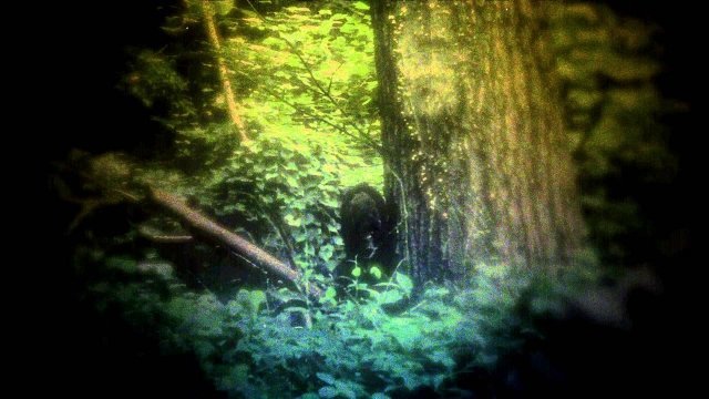 Watch Black Water Sasquatch Online
