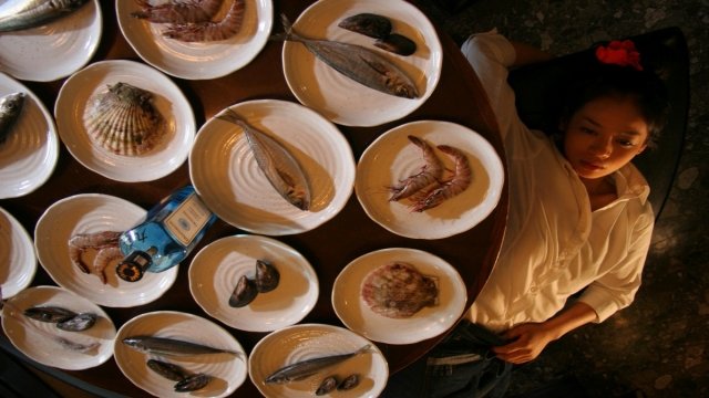 Watch Food and the Maiden Online