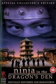 Ninja in the Dragon's Den poster