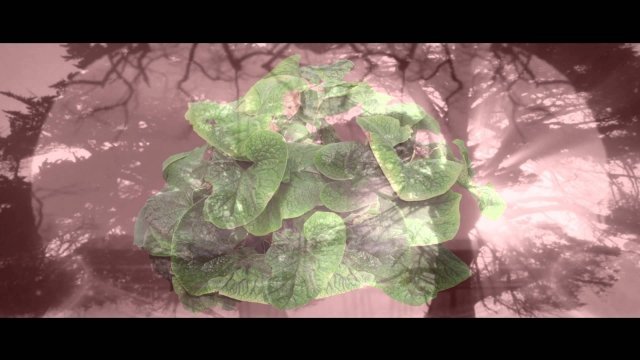 Watch Kitaro - Heaven and Earth - Land Theme - Instrumental Music for Relaxation Online
