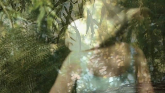 Watch The Song Within: Sedona Online