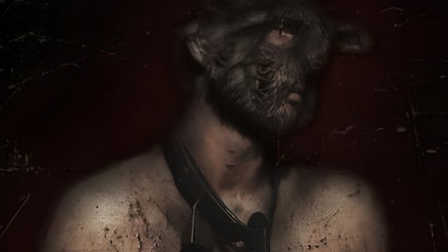 Watch Pitchfork Online