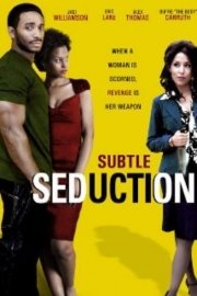 Subtle Seduction poster