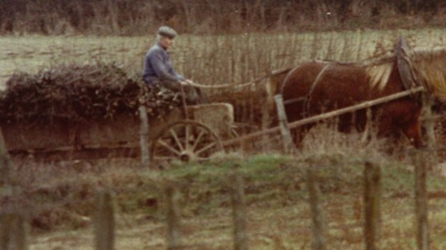 Watch Cousin Jules Online