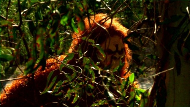Watch Bigfoot Vs. D.B. Cooper Online