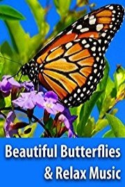Beautiful Butterflies & Relaxing Music - BaLu - Relaxing Nature