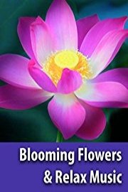 Stunning Blooming Flowers & Relaxing Music - BaLu - Relaxing Nature