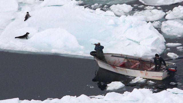 Watch Huntwatch Online