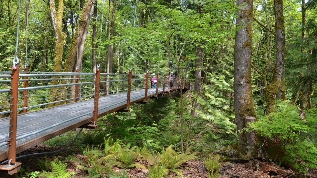 Watch Garden Travels - Bellevue Botanical Garden - Hellebores Online