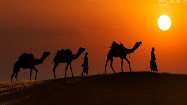Watch Passport to Adventure: A Camel Safari in the Thar Desert Online