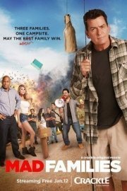 Mad Families poster