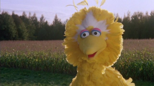 Watch Sesame Street Presents: Follow That Bird Online