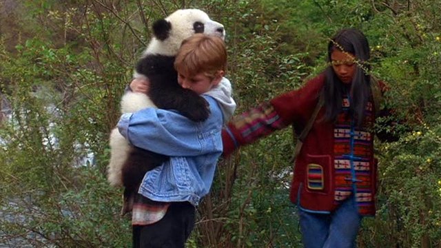 Watch The Amazing Panda Adventure Online