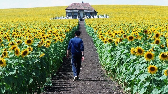 Watch Everything Is Illuminated Online