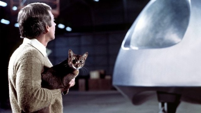Watch The Cat From Outer Space Online