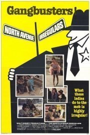 The North Avenue Irregulars poster
