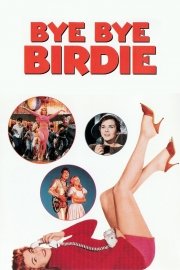 Bye Bye Birdie poster