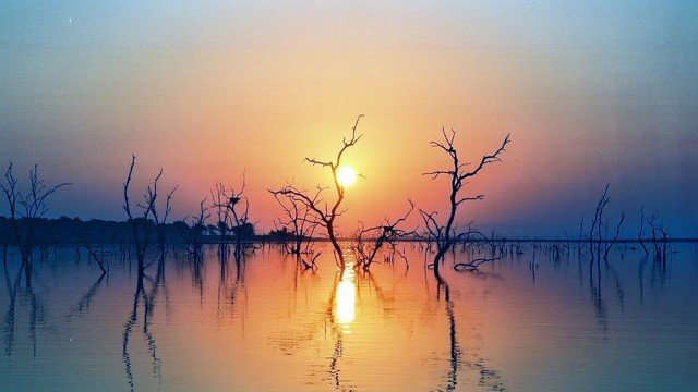 Watch African Food Adventures Kapenta Online