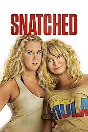 Snatched poster