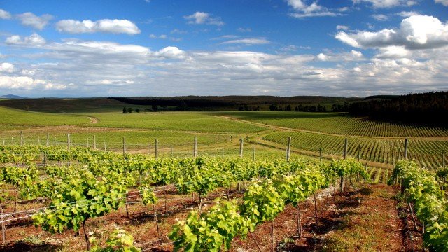 Watch Culinary Travels Chile-Bio Bio Valley-Santiago Markets Online