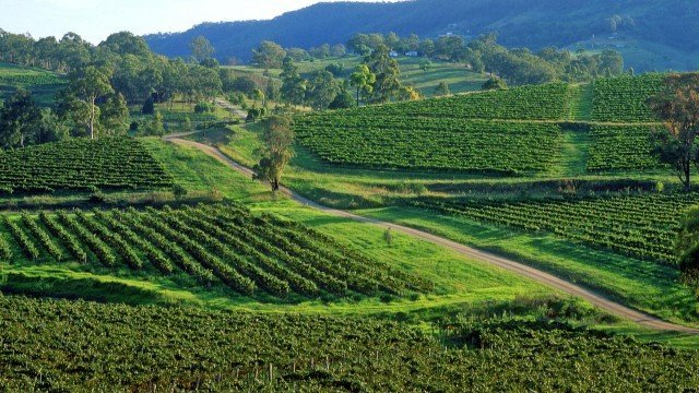 Watch Culinary Travels Travels Exploring Oz Australia-Lindemans/Penfolds/Wynns Online