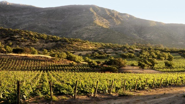 Watch Culinary Travels Magical Maipo Maipo Valley, Chile Online