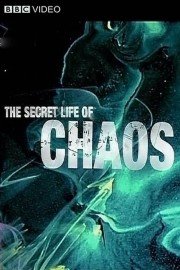 The Secret Life of Chaos poster