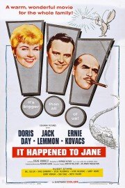 It Happened to Jane poster