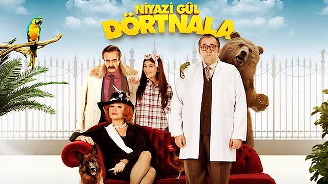 Watch Niyazi Gul Dortnala Online