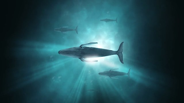 Watch Sonic Sea Online