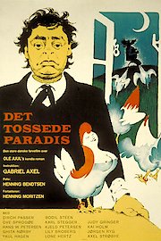 Crazy Paradise poster