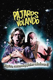 Pajaros volando poster