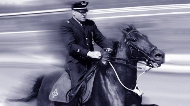 Watch The Tattooed Police Horse Online