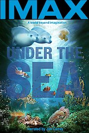 Under the Sea poster