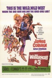 Waterhole No. 3 poster