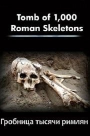 Skeletons