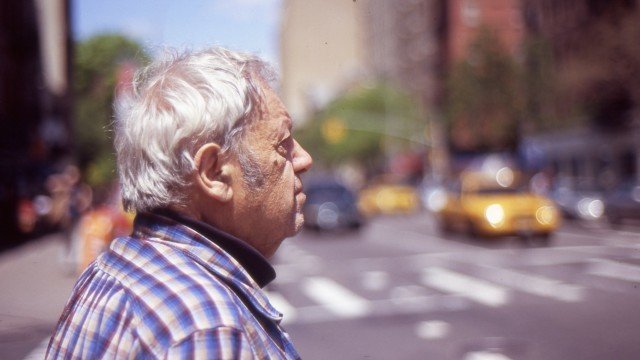 Watch In No Great Hurry: 13 Lessons in Life with Saul Leiter Online