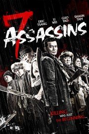 7 Assassins poster