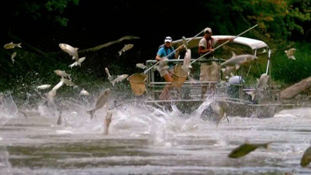 Watch Carpe Diem: A Fishy Tale Online