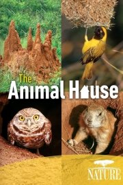 Animal House