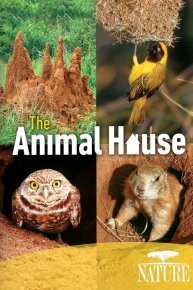 Animal House